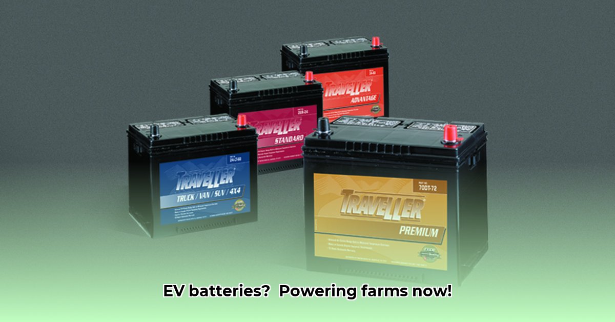 tractor-supply-car-batteries